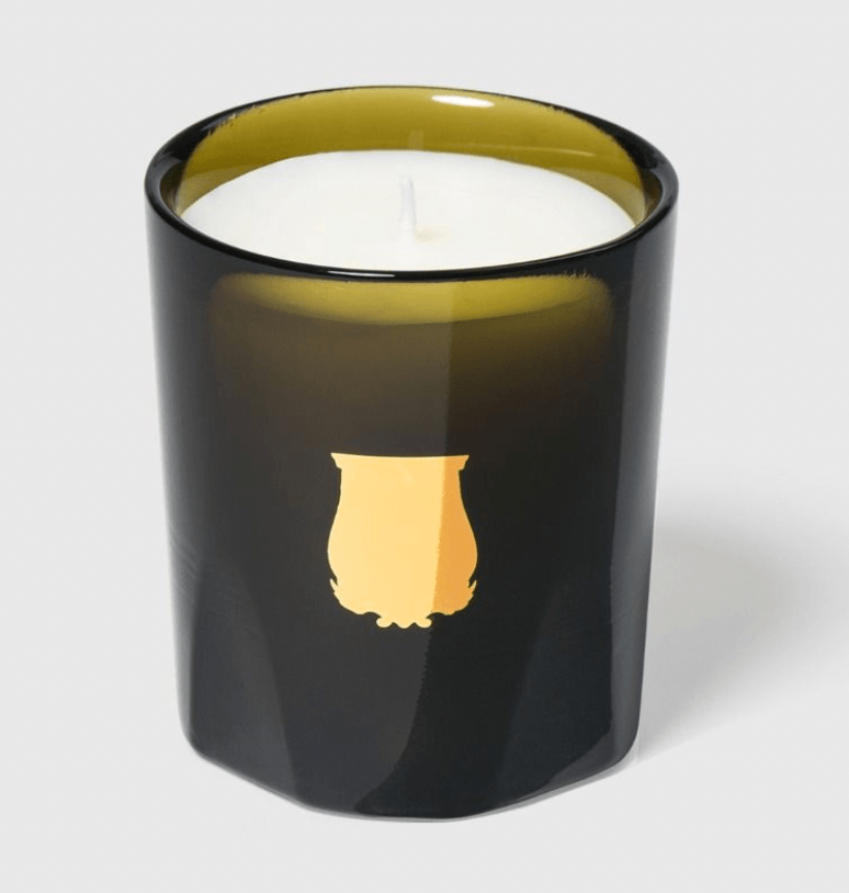 Trudon Gabriel Candle in a black glass holder with gold emblem displayed on a white background.