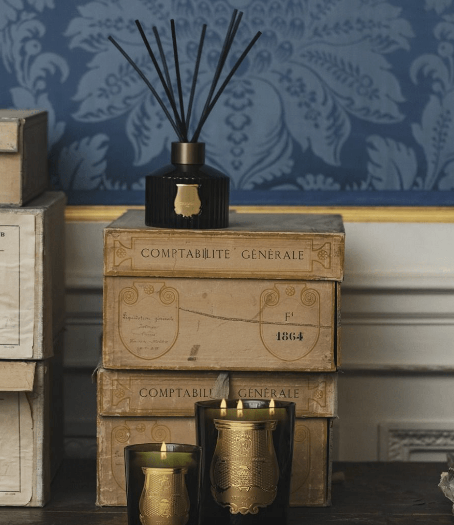Trudon Ernesto diffuser displayed among antique boxes, showcasing luxury home fragrance design and elegance.