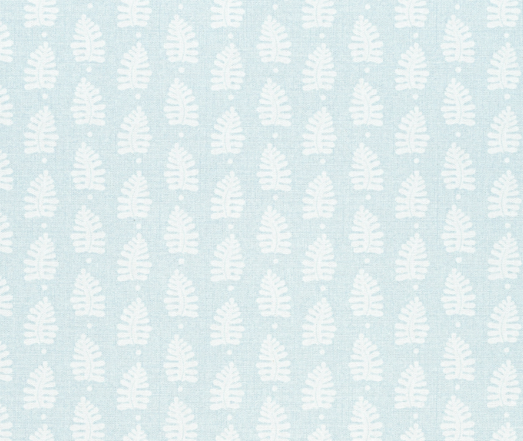 Fern