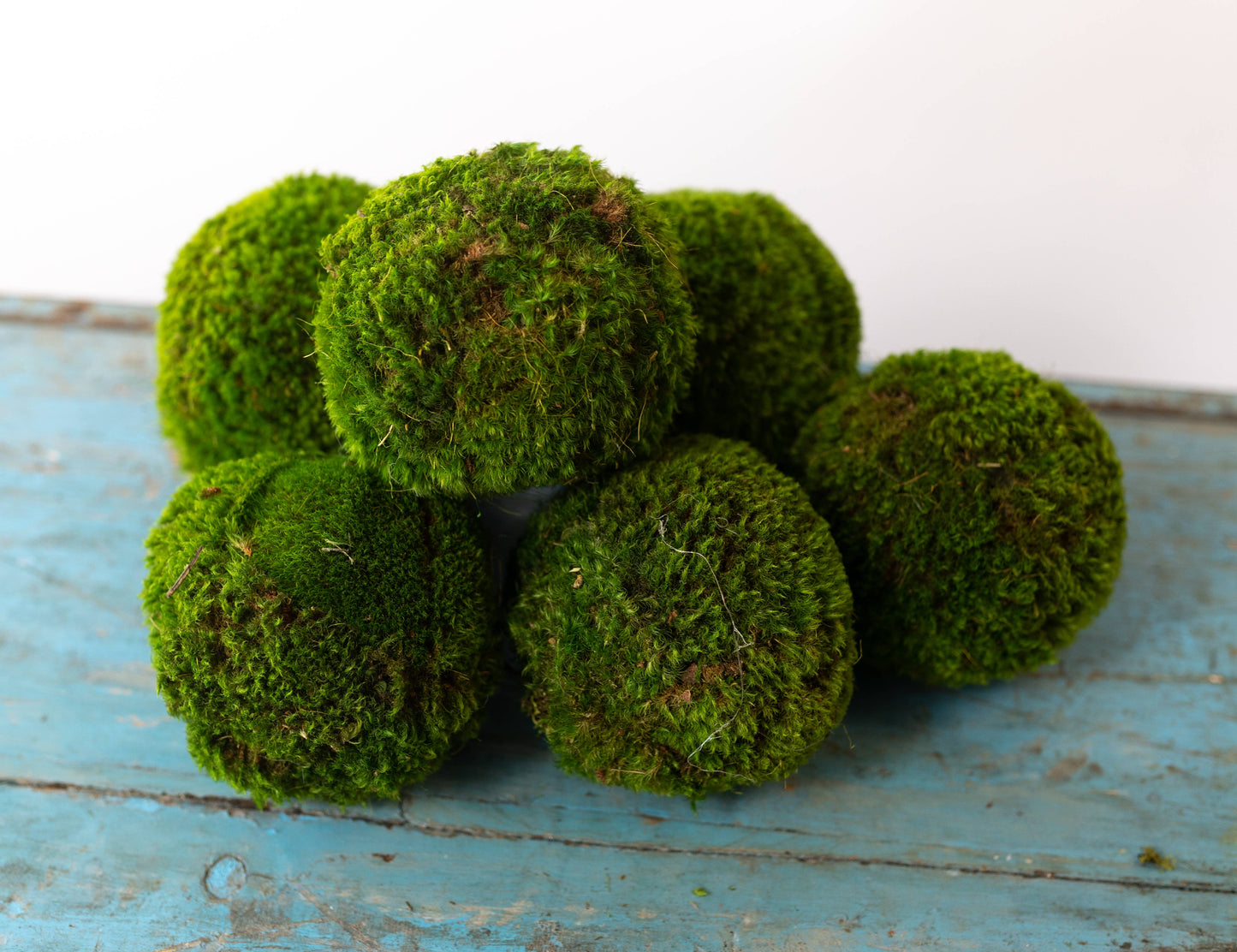 MOSS BALL