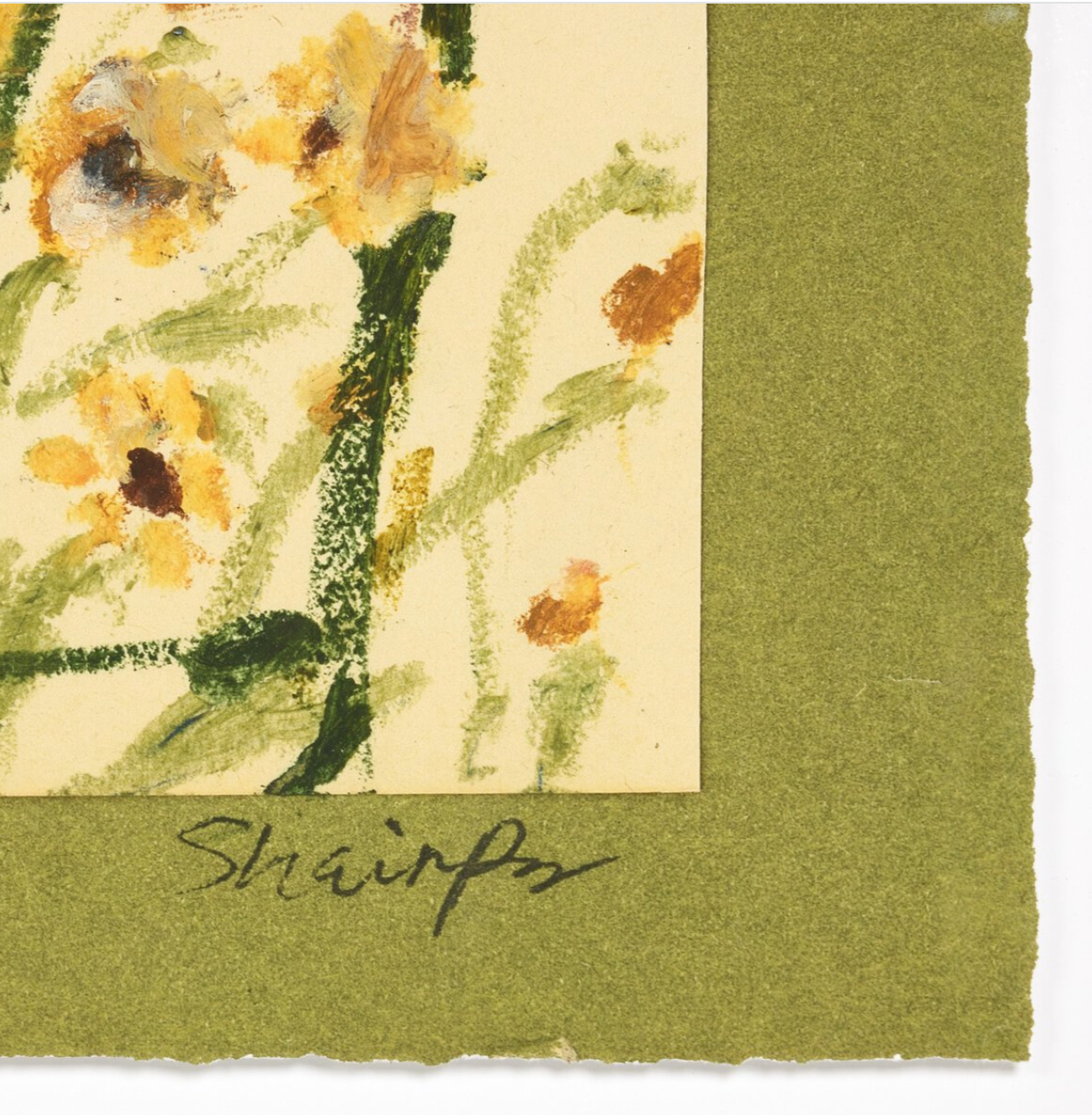 WILDFLOWER MEDLEY by SHEILA PAGE