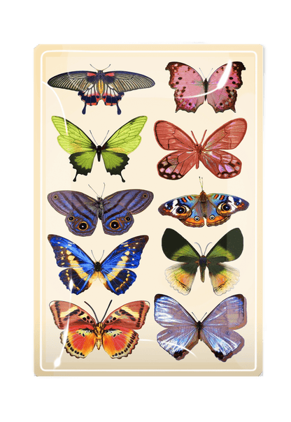 BUTTERFLY DECOUPAGE GLASS TRAY - Shannan Bower Home