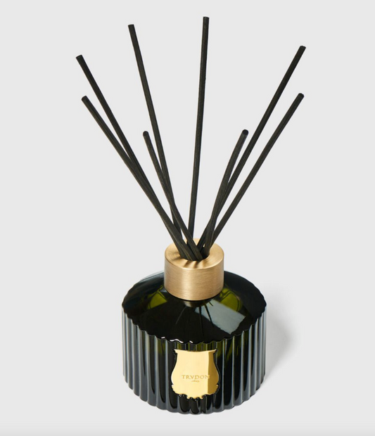 Trudon Ernesto diffuser, luxury home fragrance with black reeds and elegant glass design.
