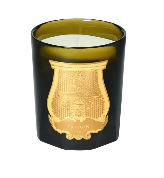 Trudon Ernesto Candle in a gold glass holder with Tadou branding displayed on a light gray background.