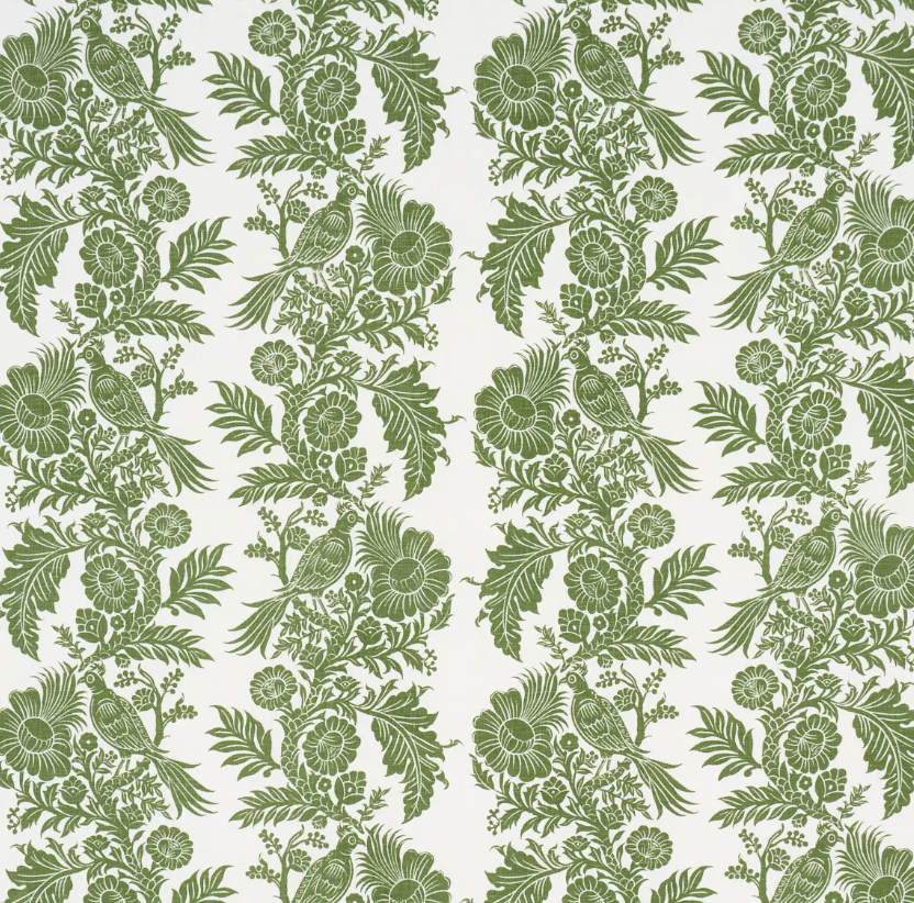 Fern 1