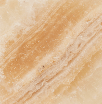 ONYX JACK - Shannan Bower Home