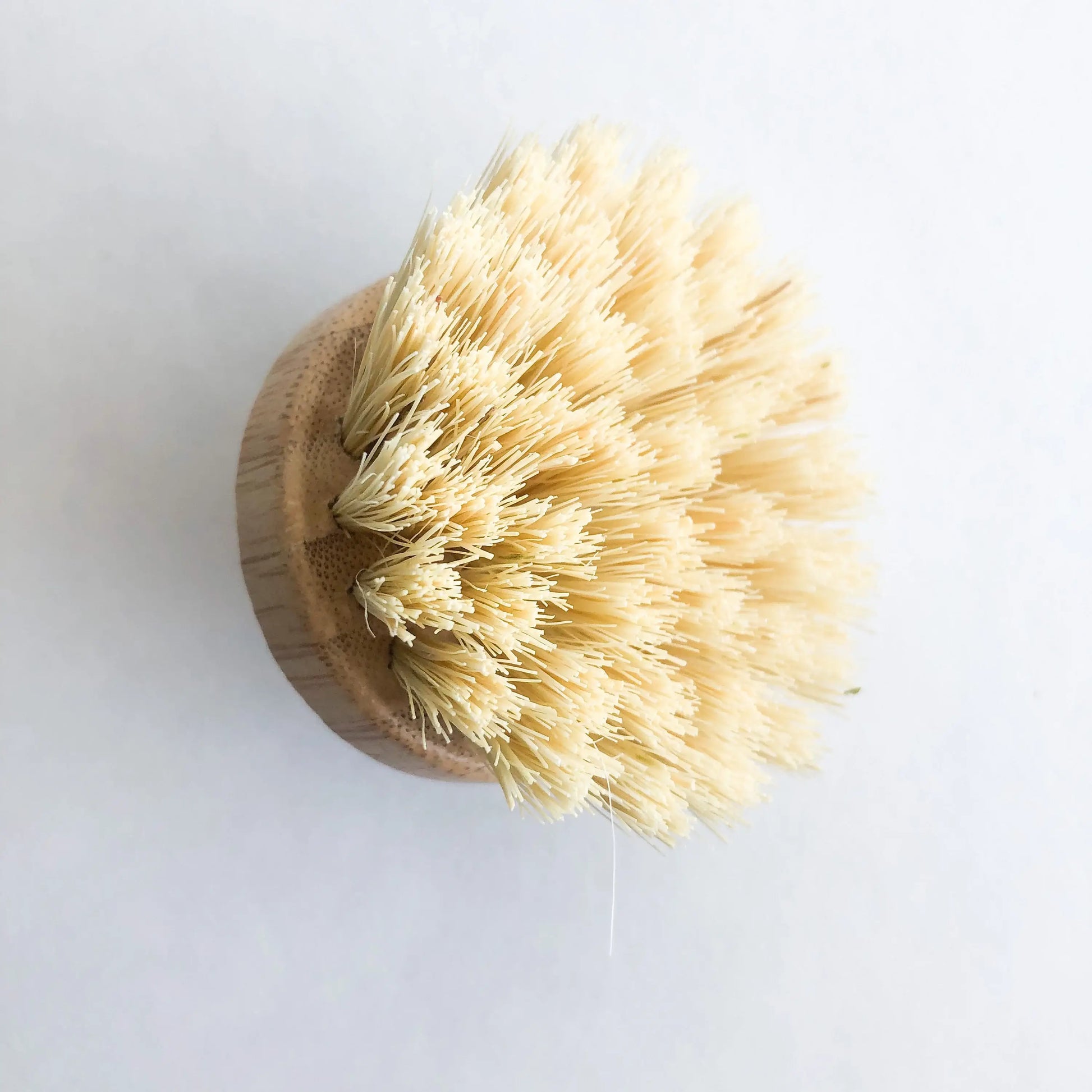 NATURAL BAMBOO + PALM DISH BRUSH product image, short dish brush
