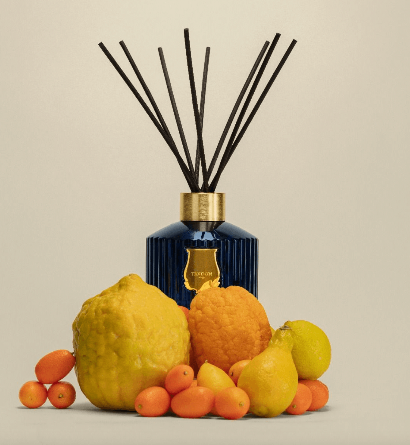 Trudon Reggio Reed Diffuser surrounded by colorful citruses and fragrant fruits, showcasing its elegant design and aromatic essence.