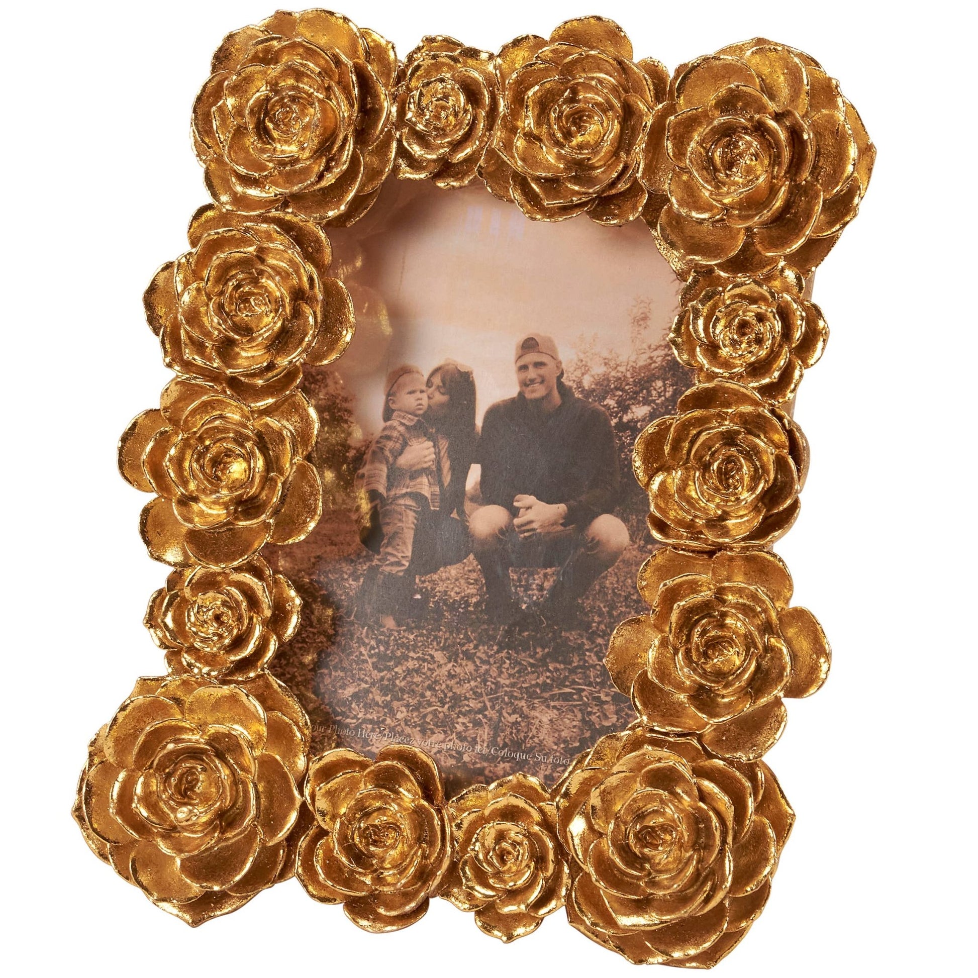 VINTAGE ROSE PICTURE FRAME product image highlighting color, material, and overall design