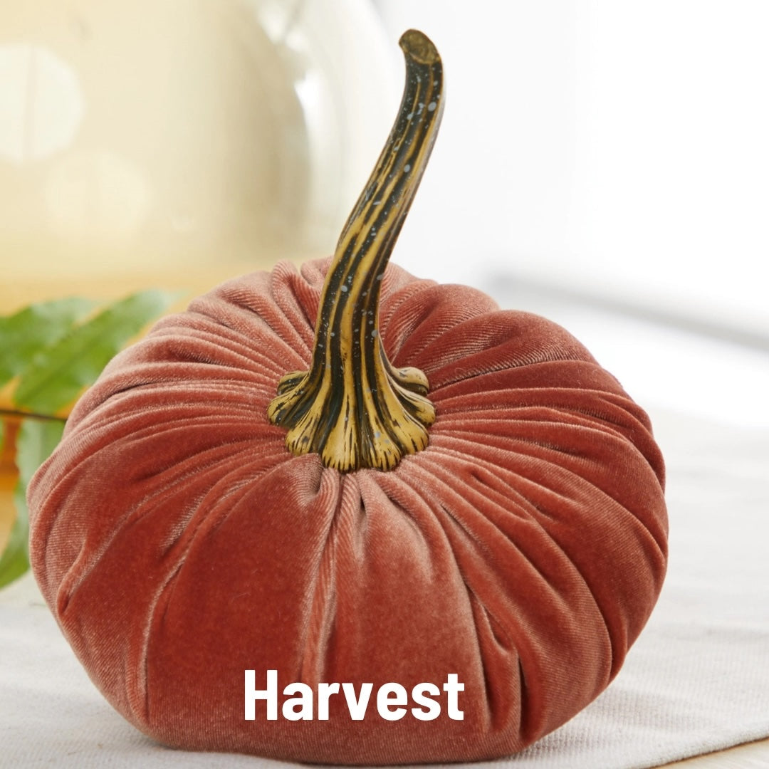 A small velvet decorative pumpkin in a muted terracotta or rust color with a textured stem, shown on a light surface with a soft blurred background. The word 'Harvest' appears in white text near the bottom.