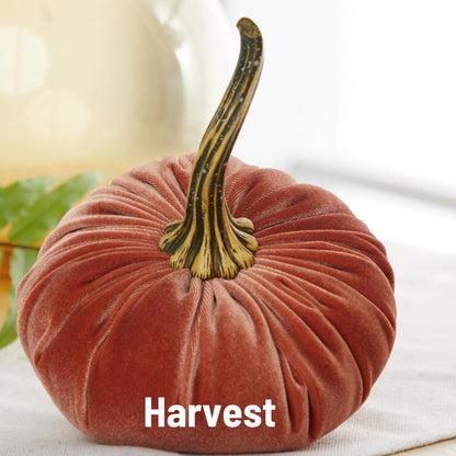 A small velvet decorative pumpkin in a muted terracotta or rust color with a textured stem, shown on a light surface with a soft blurred background. The word 'Harvest' appears in white text near the bottom.